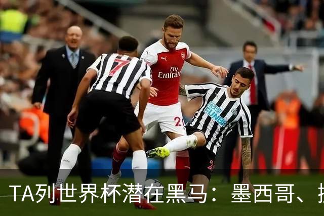 TA列世界杯潜在黑马：墨西哥、挪威、塞内加尔、日本、厄瓜多尔